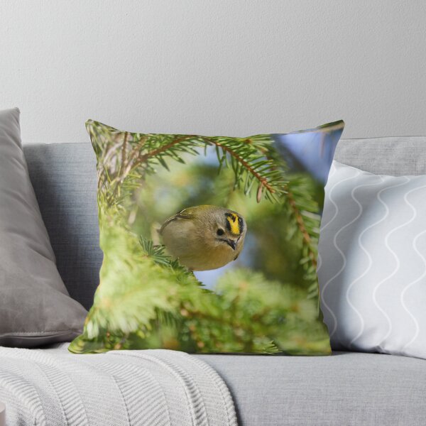 Item preview, Fast and curious. Goldcrest designed and sold by Jouko Lehto Photography.
