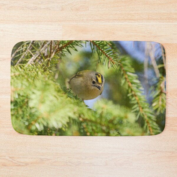 Item preview, Fast and curious. Goldcrest designed and sold by Jouko Lehto Photography.