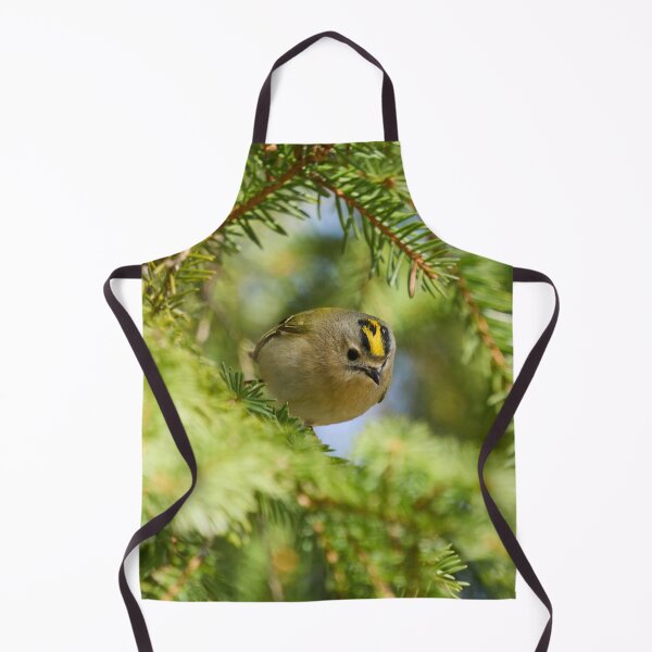 Item preview, Fast and curious. Goldcrest designed and sold by Jouko Lehto Photography.