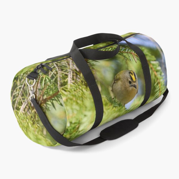Item preview, Fast and curious. Goldcrest designed and sold by Jouko Lehto Photography.