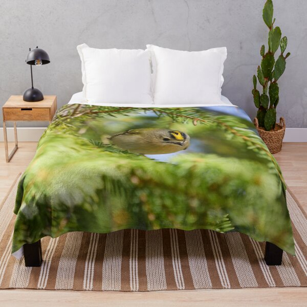 Item preview, Fast and curious. Goldcrest designed and sold by Jouko Lehto Photography.