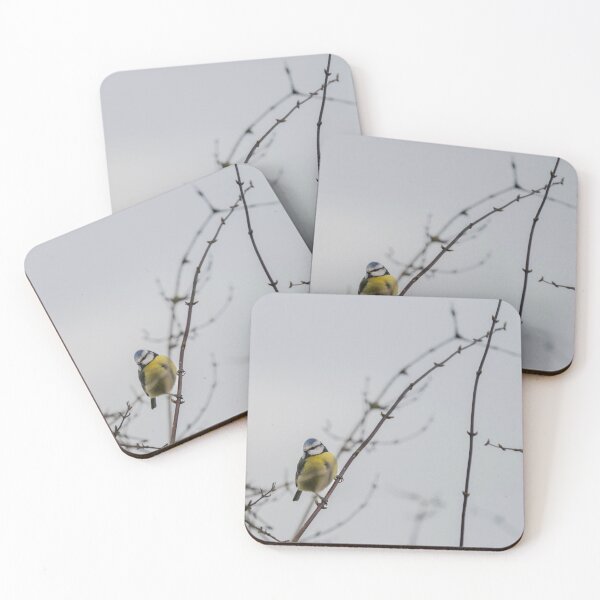 Item preview, Winter Blue Tit designed and sold by Ian Tilly.