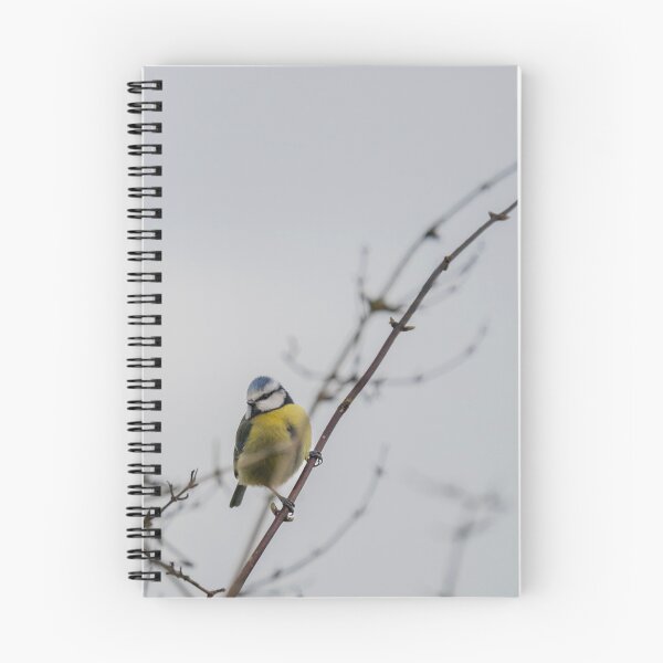Item preview, Winter Blue Tit designed and sold by Ian Tilly.