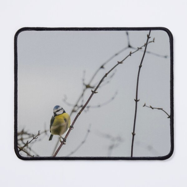 Item preview, Winter Blue Tit designed and sold by Ian Tilly.