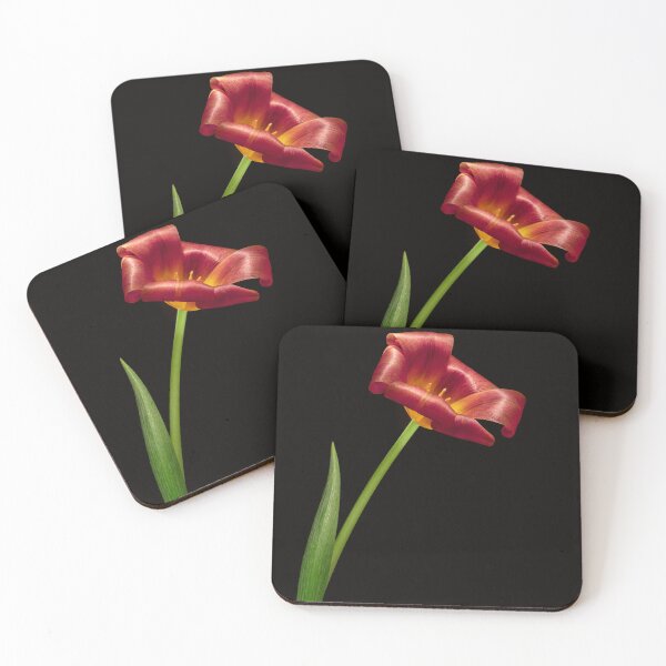 Artikelvorschau, Rote Tulpenblume entworfen und verkauft von MonicPhotoMonic.