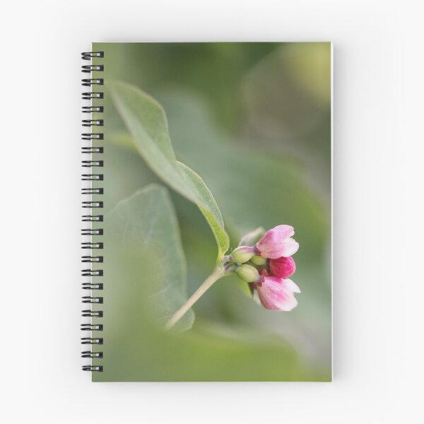 Item preview, Budding Pinks designed and sold by Tracy Friesen.