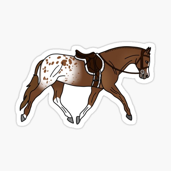Item preview, Cheval de chasse Appaloosa alezan designed and sold by Trotting Hooves.