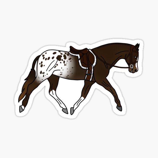 Aperçu de l'œuvre Cheval de chasse Appaloosa bai créée et vendue par Trotting Hooves.