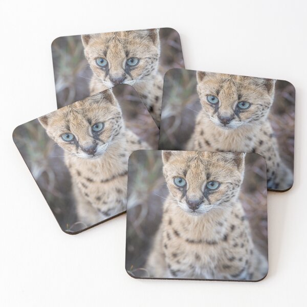 Item preview, Serval Cat Kenya designed and sold by PhotoArt by Joan Carroll.
