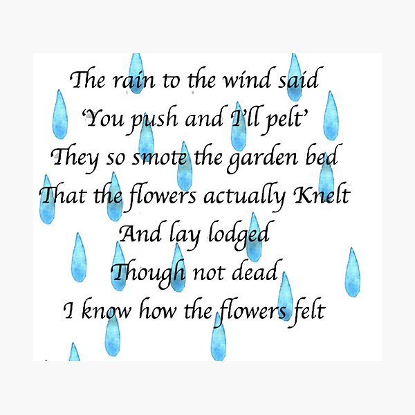 Lodged Robert Frost Poem Rain Photographic Print