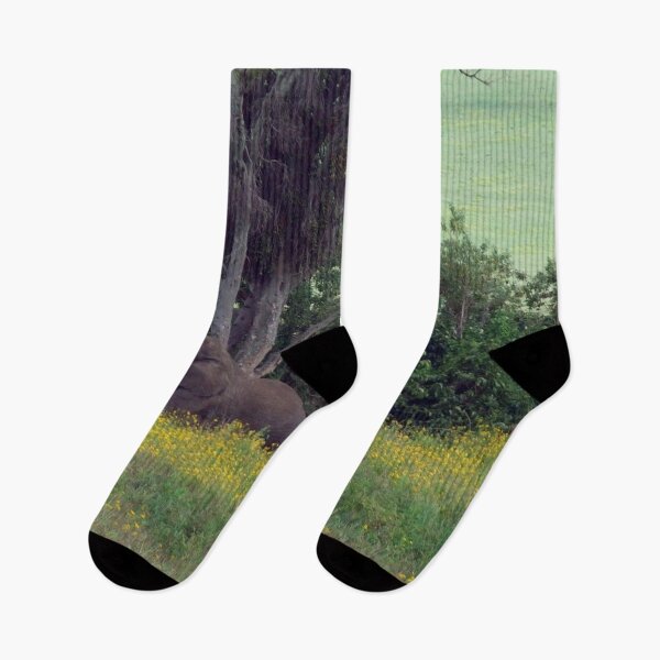 Item preview, Trunk to the Breeze – Ngorongoro Elephant designed and sold by DBloom1234.