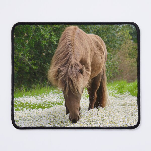 Item preview, Icelandic Filly in Chamomile II designed and sold by Emmaline Jones.