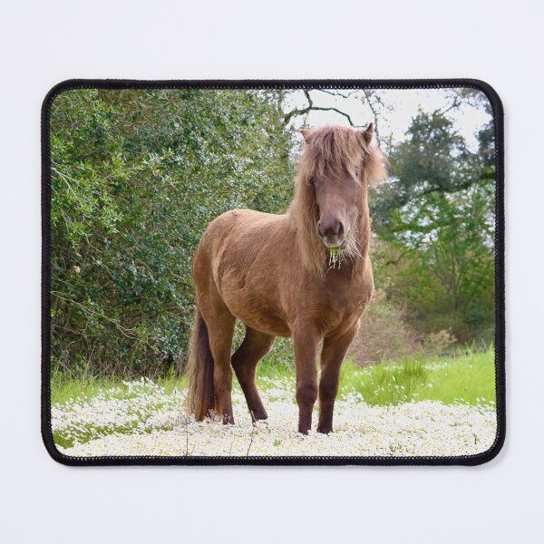 Item preview, Icelandic Filly in Chamomile III designed and sold by Emmaline Jones.