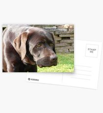 Intent Postcards