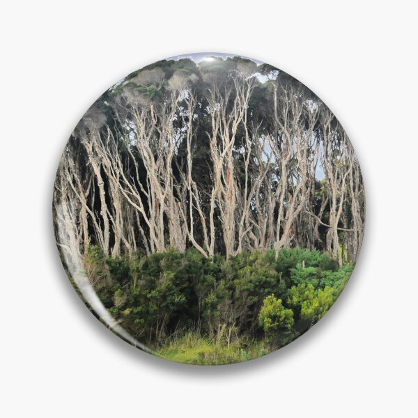 Item preview, Melaleuca Stalking designed and sold by Larry Davis.