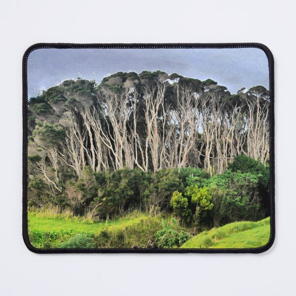 Item preview, Melaleuca Stalking designed and sold by Larry Davis.