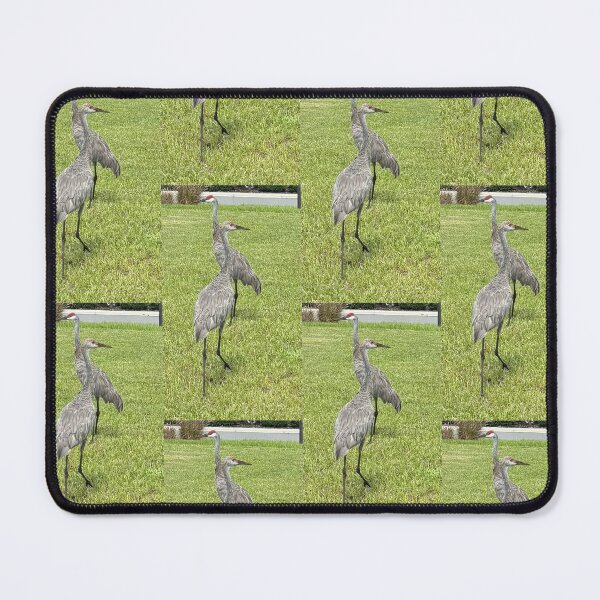 Item preview, Sandhill cranes  designed and sold by kendra9876.