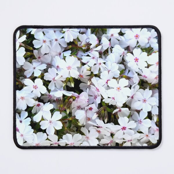 Item preview, Amazing Grace Creeping Phlox designed and sold by bjtomiko.