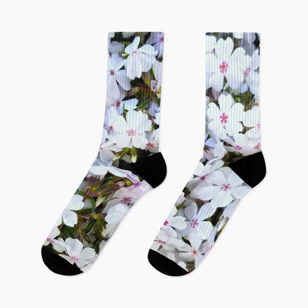 Item preview, Amazing Grace Creeping Phlox designed and sold by bjtomiko.