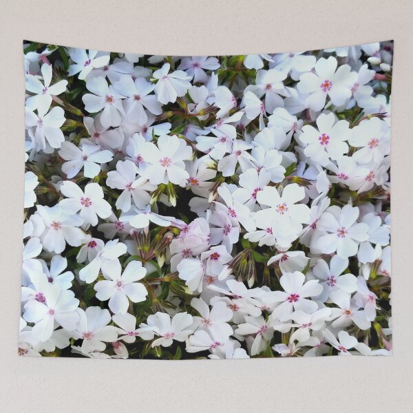 Item preview, Amazing Grace Creeping Phlox designed and sold by bjtomiko.