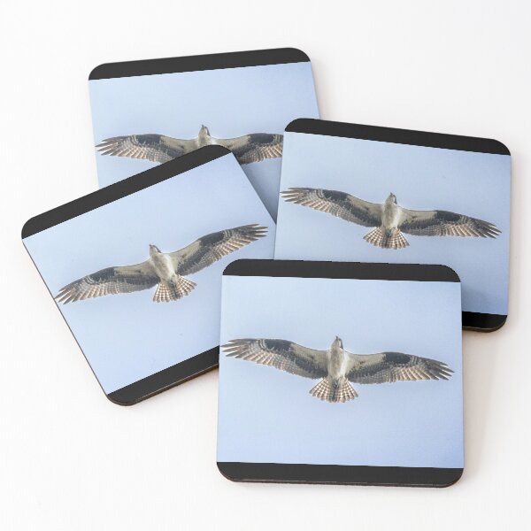 Item preview, 	Graceful raptor gliding through the sky designed and sold by BirdsBugsBeyond.