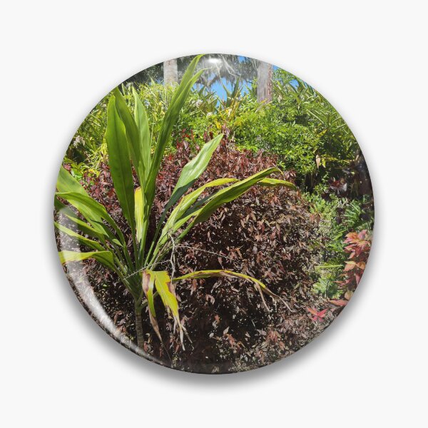 Item preview, Plant Scene at Lew Gardens designed and sold by Easley-Does-It.