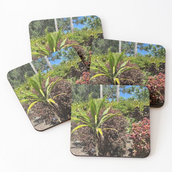 Item preview, Plant Scene at Lew Gardens designed and sold by Easley-Does-It.