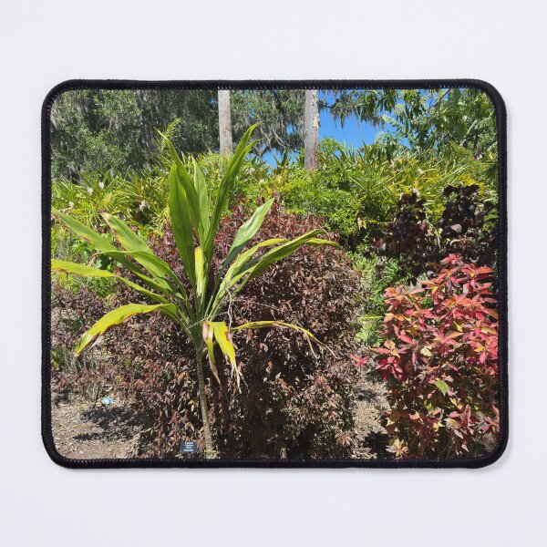 Item preview, Plant Scene at Lew Gardens designed and sold by Easley-Does-It.