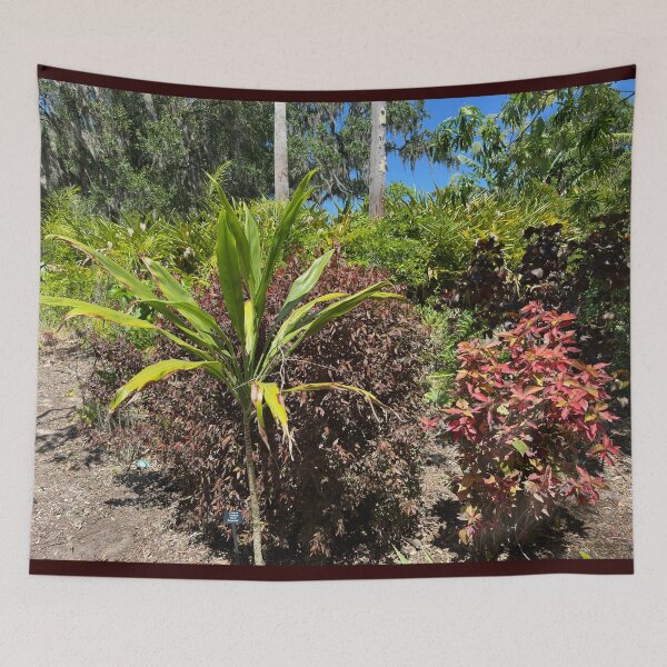 Item preview, Plant Scene at Lew Gardens designed and sold by Easley-Does-It.