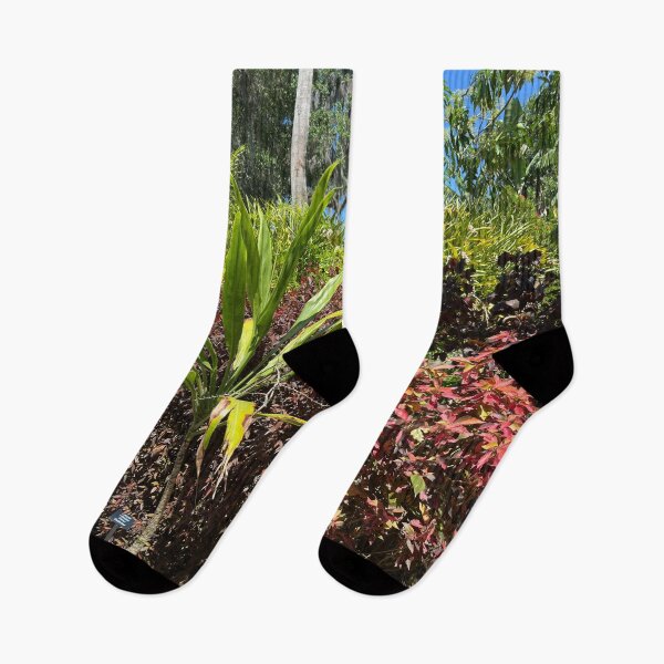 Item preview, Plant Scene at Lew Gardens designed and sold by Easley-Does-It.