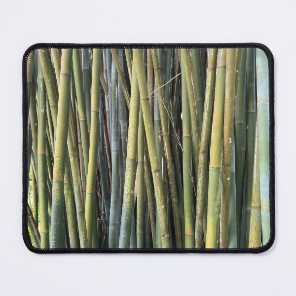 Item preview, Green Bamboo designed and sold by Easley-Does-It.