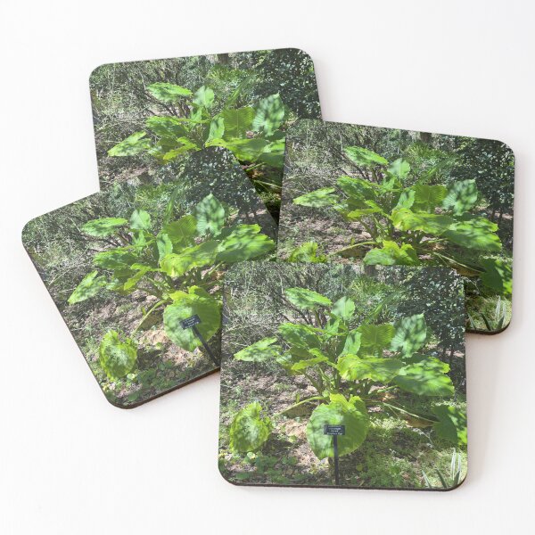 Item preview, Elephant Ear Plant designed and sold by Easley-Does-It.