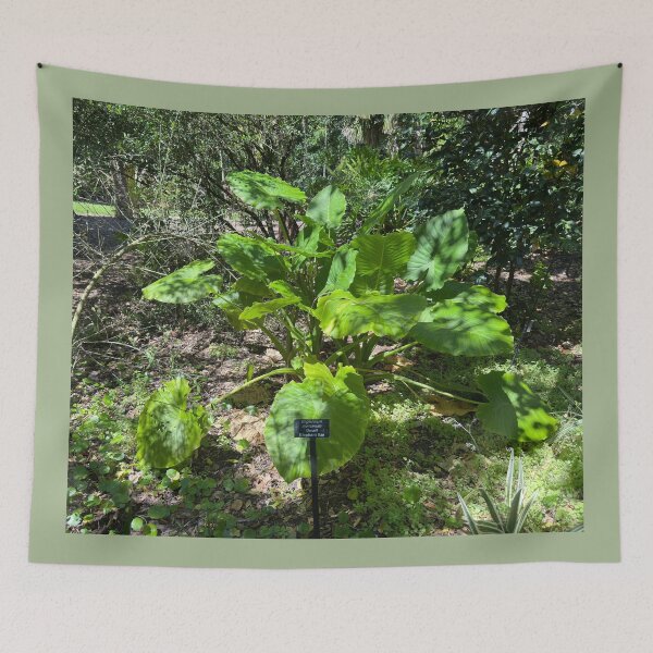 Item preview, Elephant Ear Plant designed and sold by Easley-Does-It.