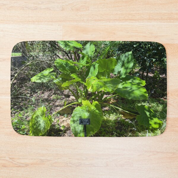 Item preview, Elephant Ear Plant designed and sold by Easley-Does-It.