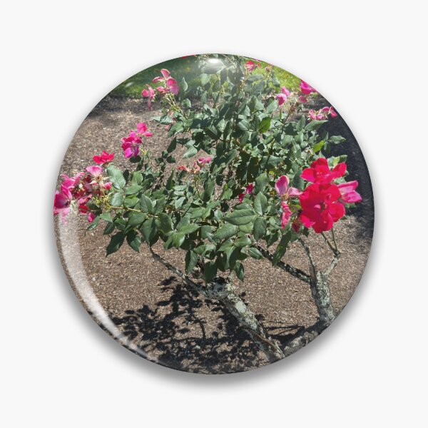 Item preview, Rose Tree designed and sold by Easley-Does-It.