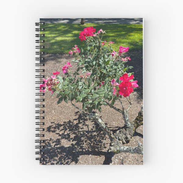 Item preview, Rose Tree designed and sold by Easley-Does-It.