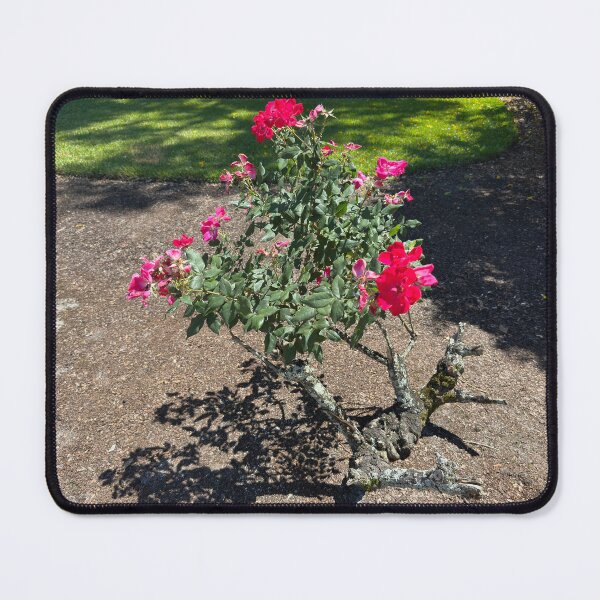 Item preview, Rose Tree designed and sold by Easley-Does-It.