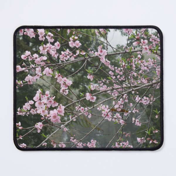 Item preview, The Cherry Bloosoms designed and sold by Smitaz.