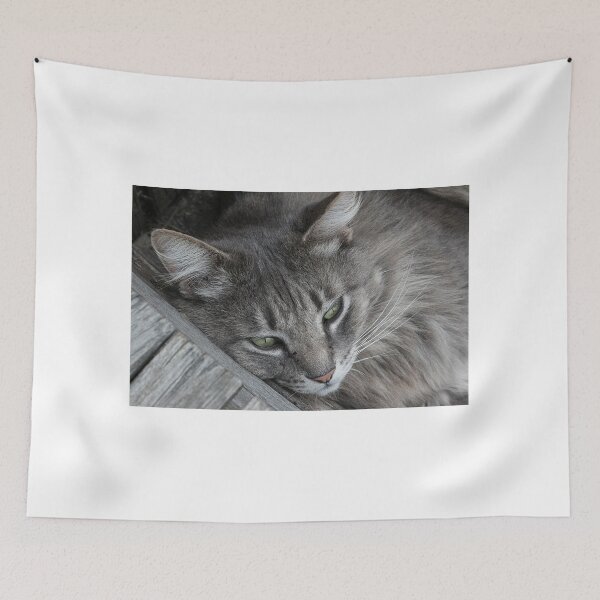 Item preview, Bigotes designed and sold by zzsuzsa.