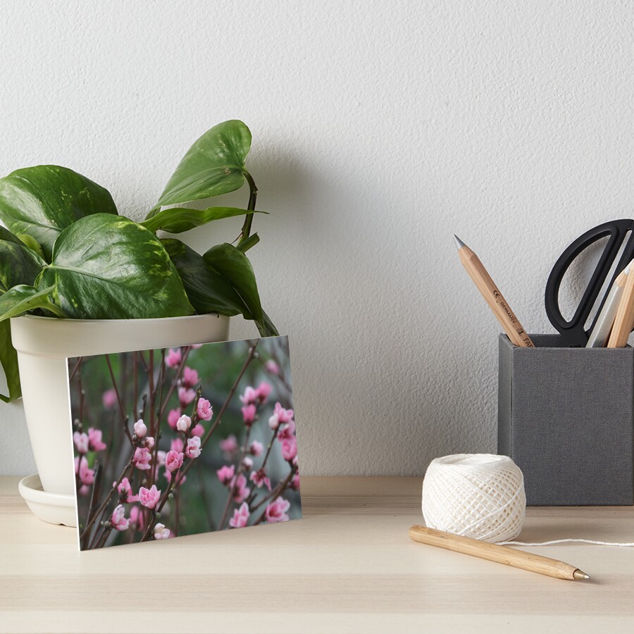 Item preview, Art Board Print designed and sold by zzsuzsa.