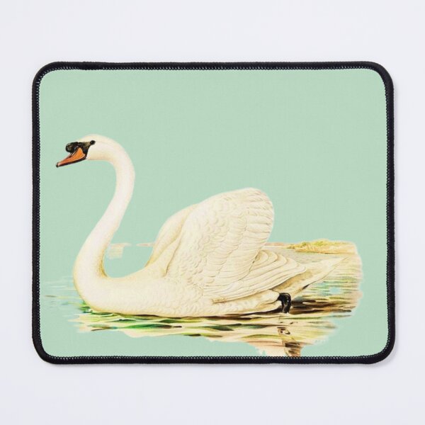 Item preview, Mute Swan male (Cygnus olor) illustrated by the von Wright brothers on light green background. Digitally enhanced by WatermarkNZ Press) designed and sold by CristalleLisa.
