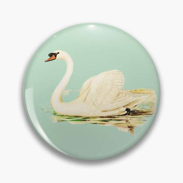 Item preview, Mute Swan male (Cygnus olor) illustrated by the von Wright brothers on light green background. Digitally enhanced by WatermarkNZ Press) designed and sold by CristalleLisa.
