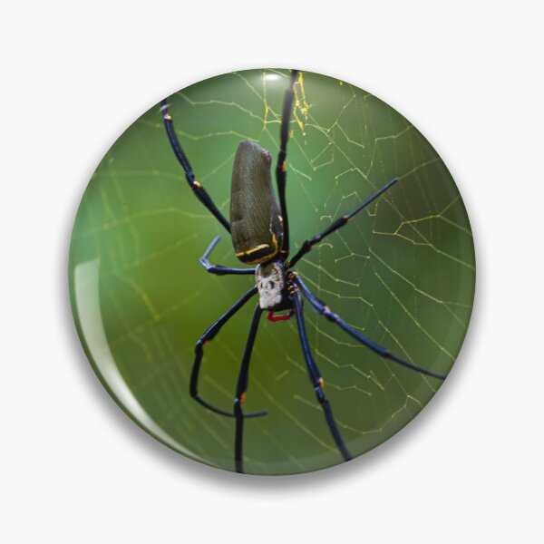 Item preview, Golden Orb Weaver in the Wild designed and sold by Aure50.