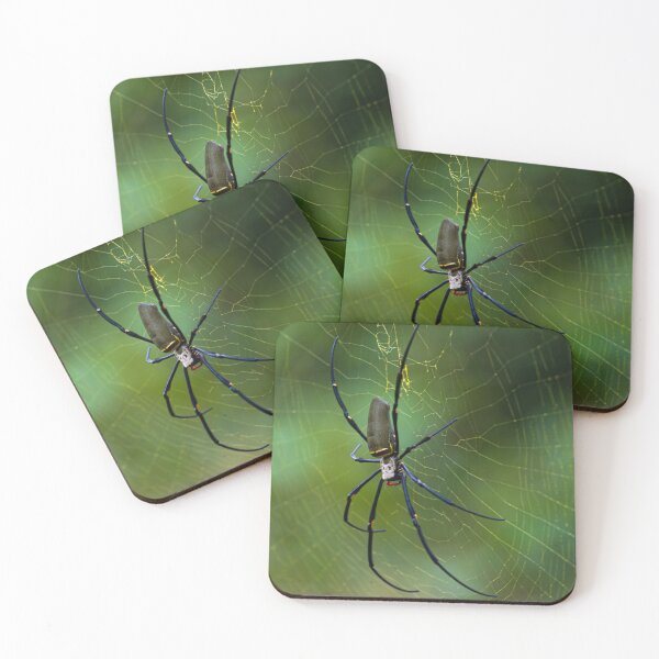Item preview, Golden Orb Weaver in the Wild designed and sold by Aure50.