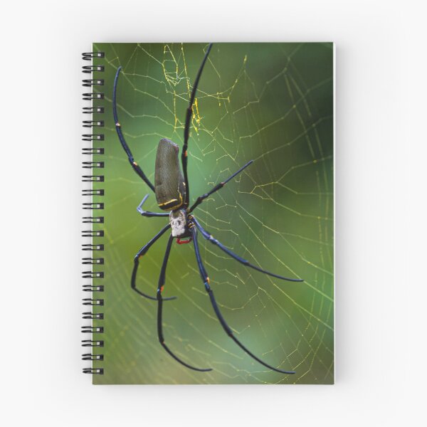 Item preview, Golden Orb Weaver in the Wild designed and sold by Aure50.