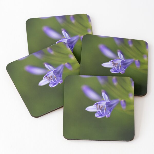 Item preview, Blue Lily Of The Nile Flower designed and sold by Joy Watson - Natural Light Photography .
