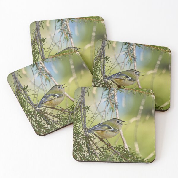 Item preview, Singing the heart out. Goldcrest designed and sold by Jouko Lehto Photography.