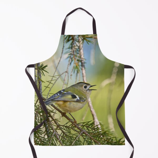 Item preview, Singing the heart out. Goldcrest designed and sold by Jouko Lehto Photography.