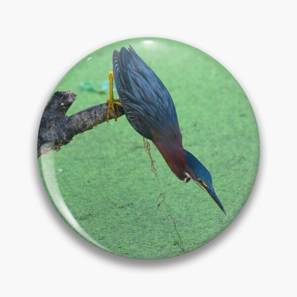 Item preview, Green Heron designed and sold by CloserToTheArt.
