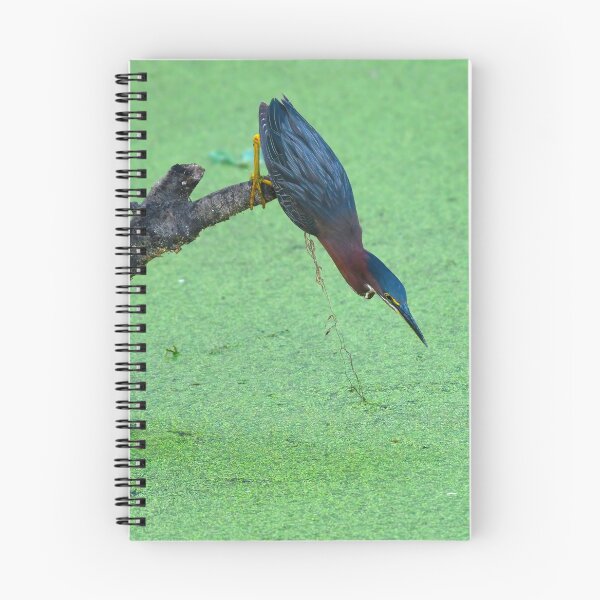 Item preview, Green Heron designed and sold by CloserToTheArt.